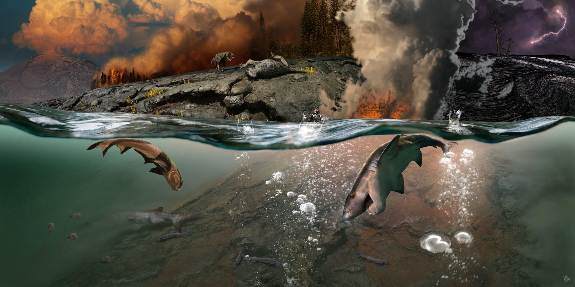 Ученые узнали, почему произошло крупнейшее вымирание в истории Земли
