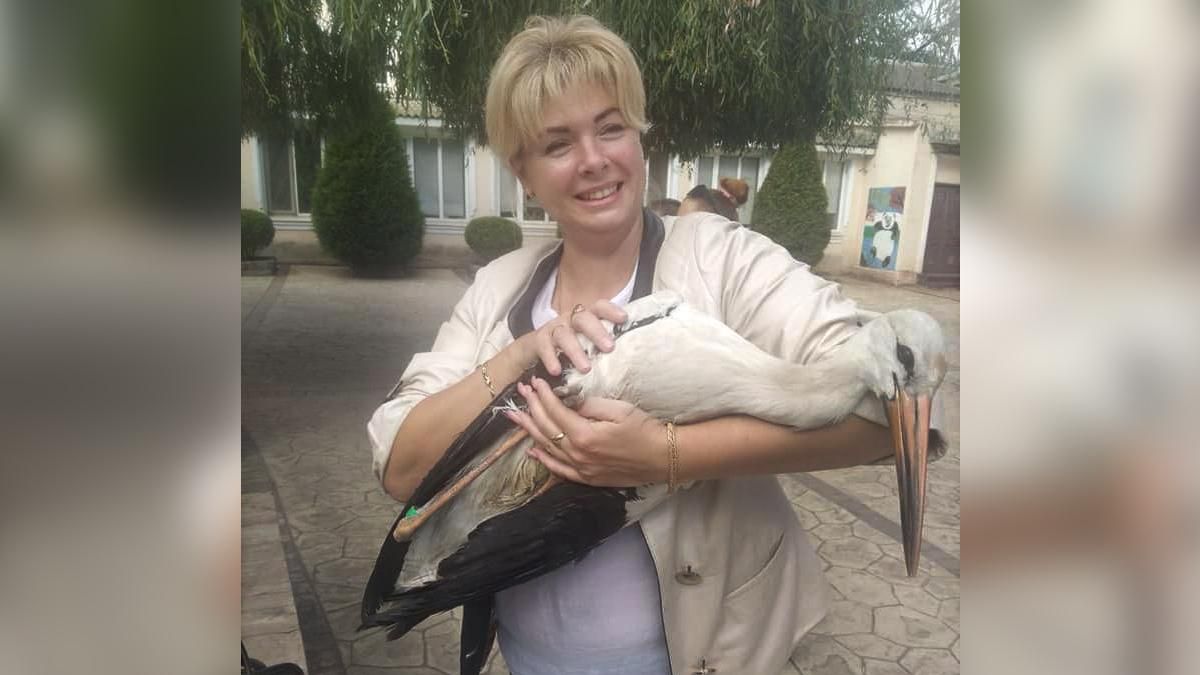 Спасли ручного аиста: рассказали невероятную историю птицы из Одесской области