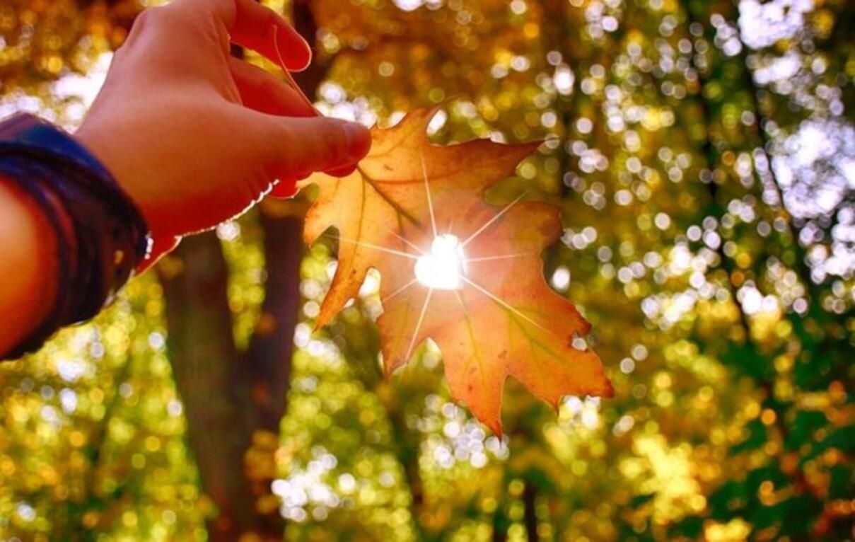 Погода на 23 сентября 2021 в Украине: что прогнозируют синоптики Погода на 23 сентября 2021 в Украине: что прогнозируют синоптики