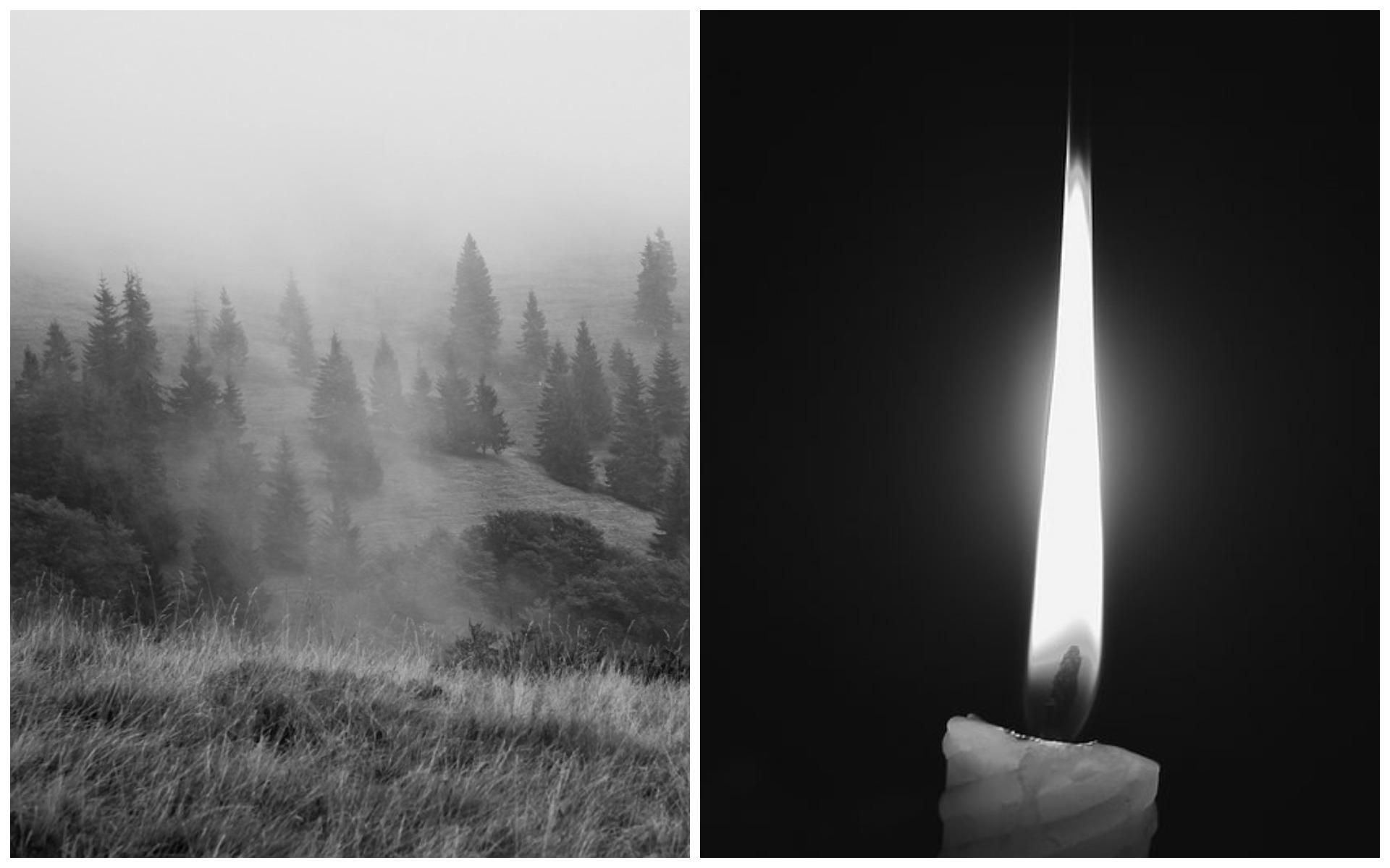 Пошли по грибы и не вернулись: на Прикарпатье нашли тела двух мужчин Пошли по грибы и не вернулись: на Прикарпатье нашли тела двух мужчин