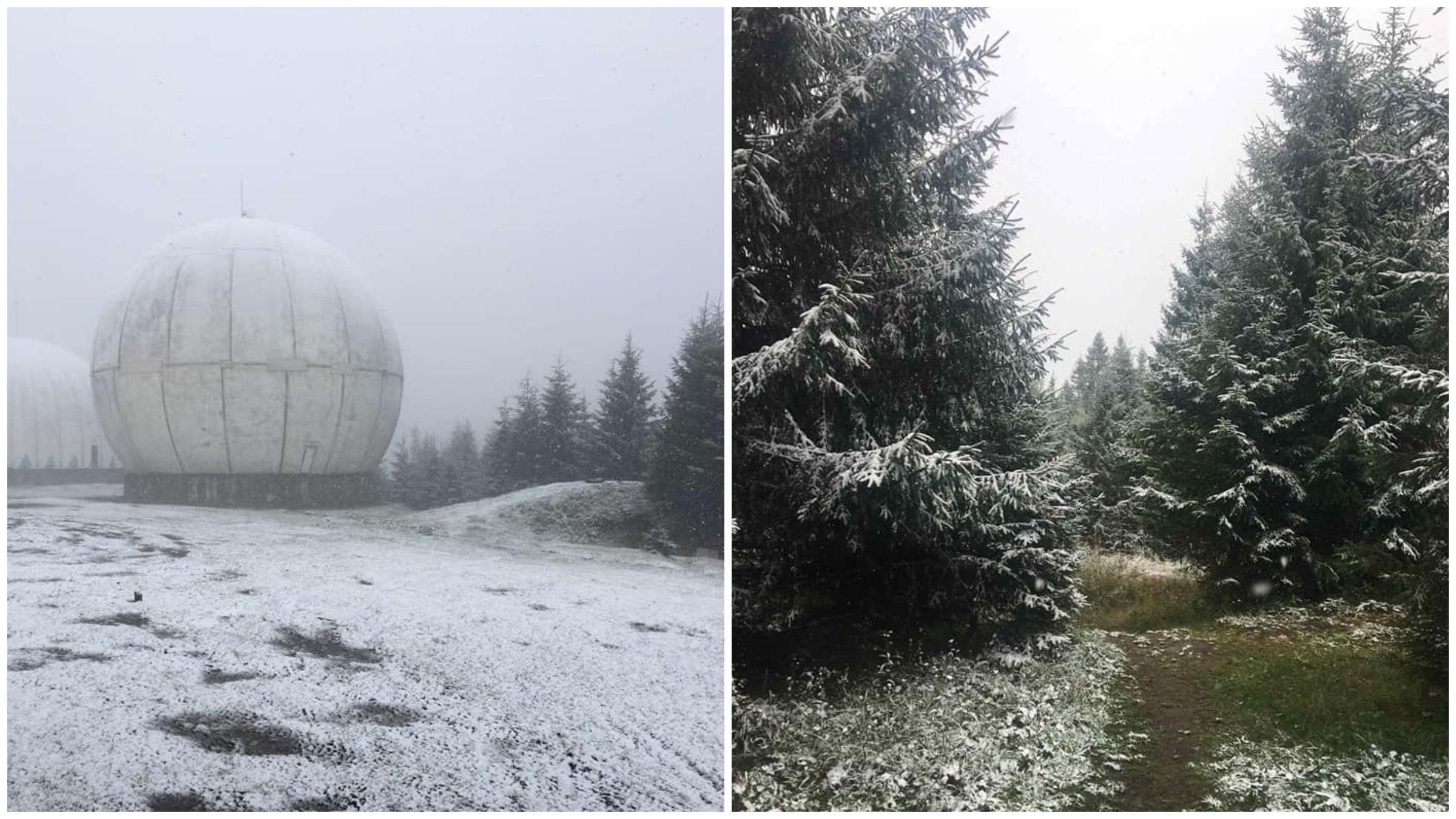В горах на Буковине выпал снег: путешественница поделилась живописными кадрами