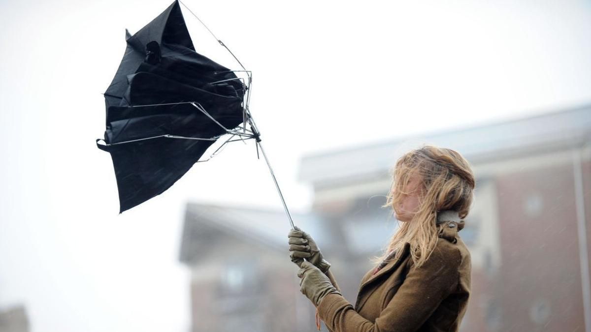 Могут падать деревья и рекламные конструкции: в Киеве объявили штормовое предупреждение Могут падать деревья и рекламные конструкции: в Киеве объявили штормовое предупреждение