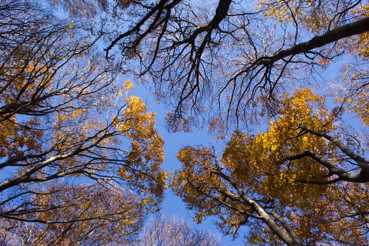 Погода на 26 сентября 2021 в Украине: что прогнозируют синоптики Погода на 26 сентября 2021 в Украине: что прогнозируют синоптики