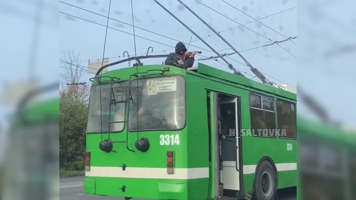 Со скрипкой вылез на крышу троллейбуса: харьковского музыканта избили и назвали наркоманом Со скрипкой вылез на крышу троллейбуса: харьковского музыканта избили и назвали наркоманом