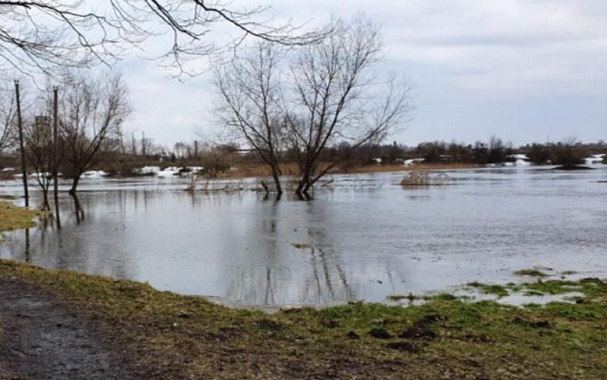 Можливі затоплення: на Львівщині прогнозують підйом води у річках - Новини Львова сьогодні - Львів