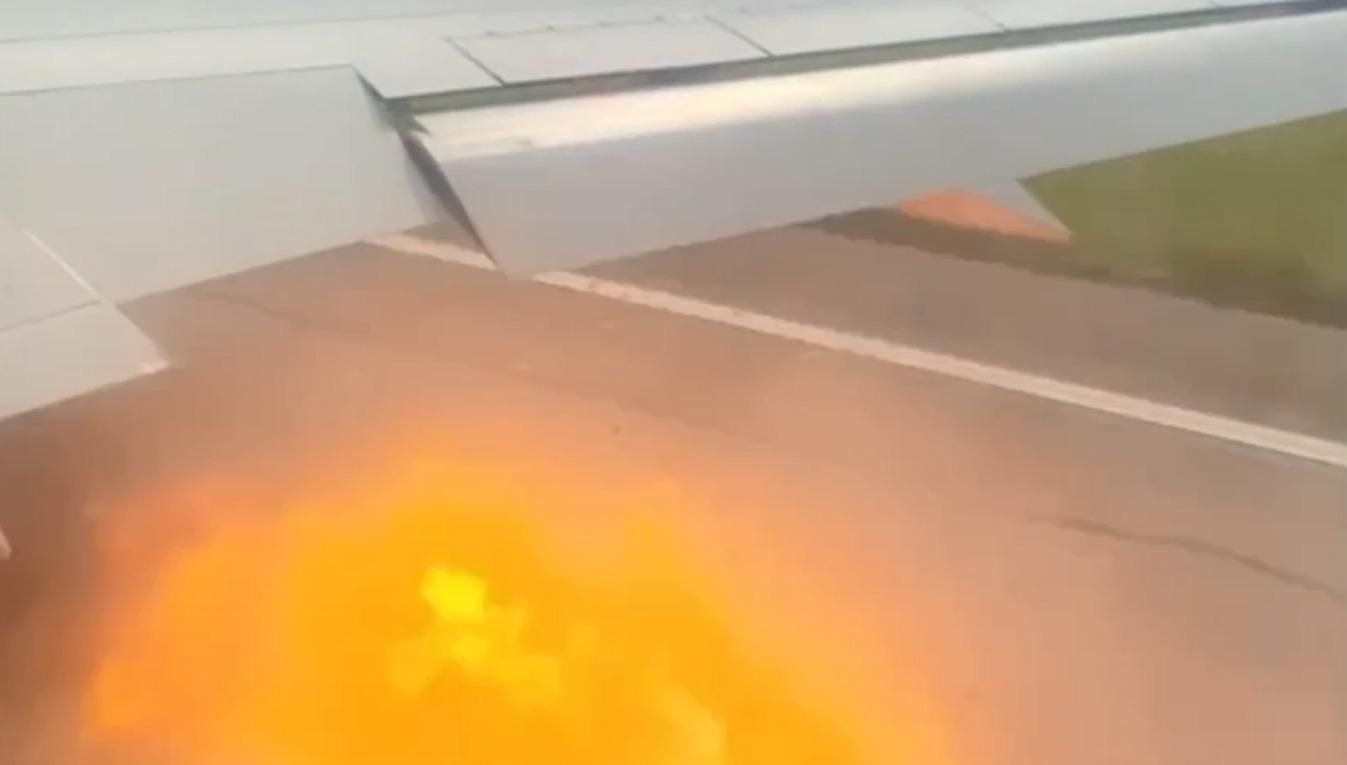 Самолет с российскими туристами столкнулся со стаей орлов: жуткое видео