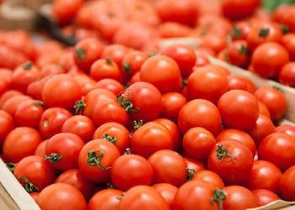 Після заяви Ердогана про Крим: Росія знайшла в турецьких помідорах "вірус" - новини Криму - 24 Канал Після заяви Ердогана про Крим: Росія знайшла в турецьких помідорах "вірус" - новини Криму - 24 Канал