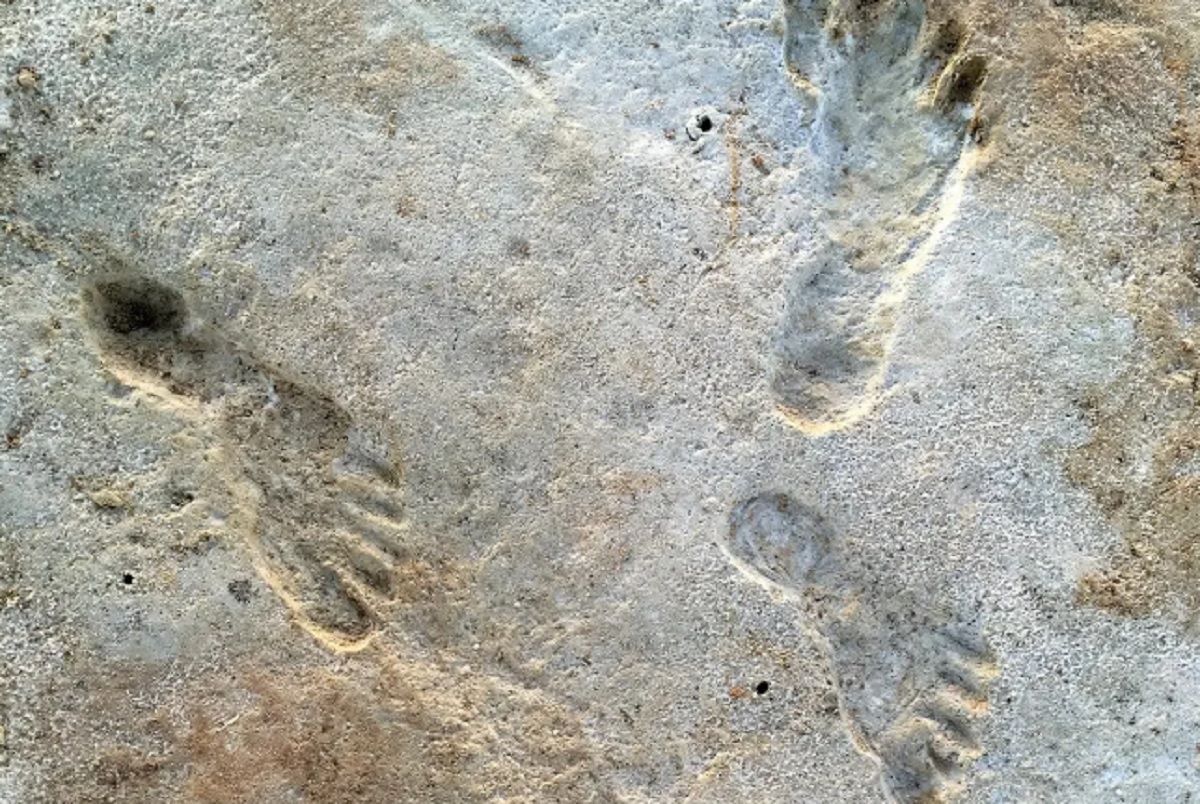 Следам 23 тысячи лет: нашли древнейшие свидетельства присутствия человека в Северной Америке