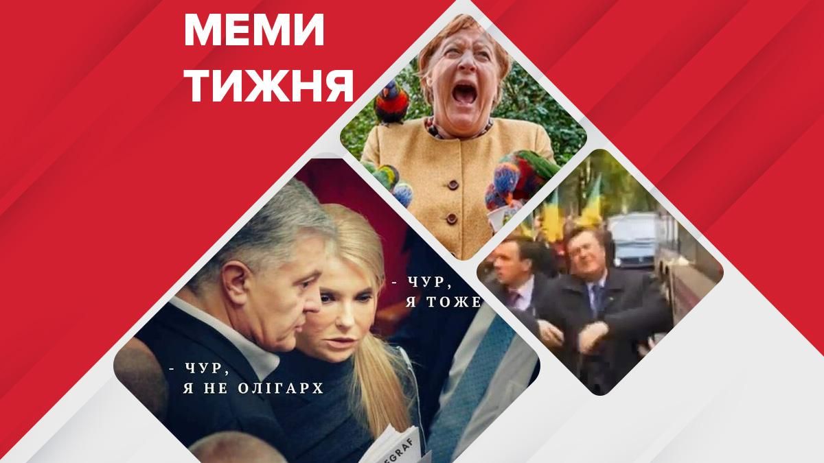Найсмішніші меми тижня: легендарний "замах" на Януковича, папуги напали на Меркель - Гарячі новини - 24 Канал
