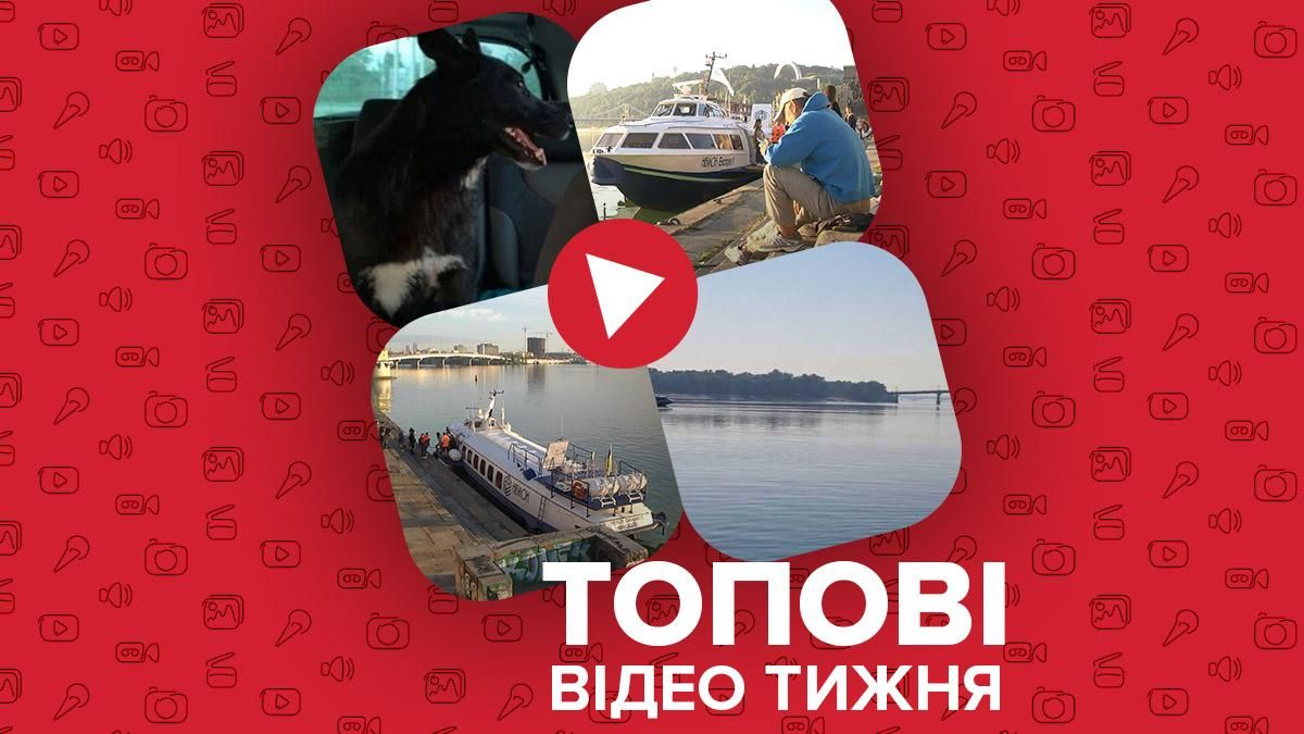 Запуск "Ракети" по Дніпру, відчайдушний собака-плавець – відео тижня - Новини Одеси - 24 Канал