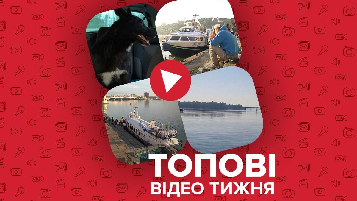 Запуск "Ракеты" по Днепру, отчаянная собака-пловец – видео недели