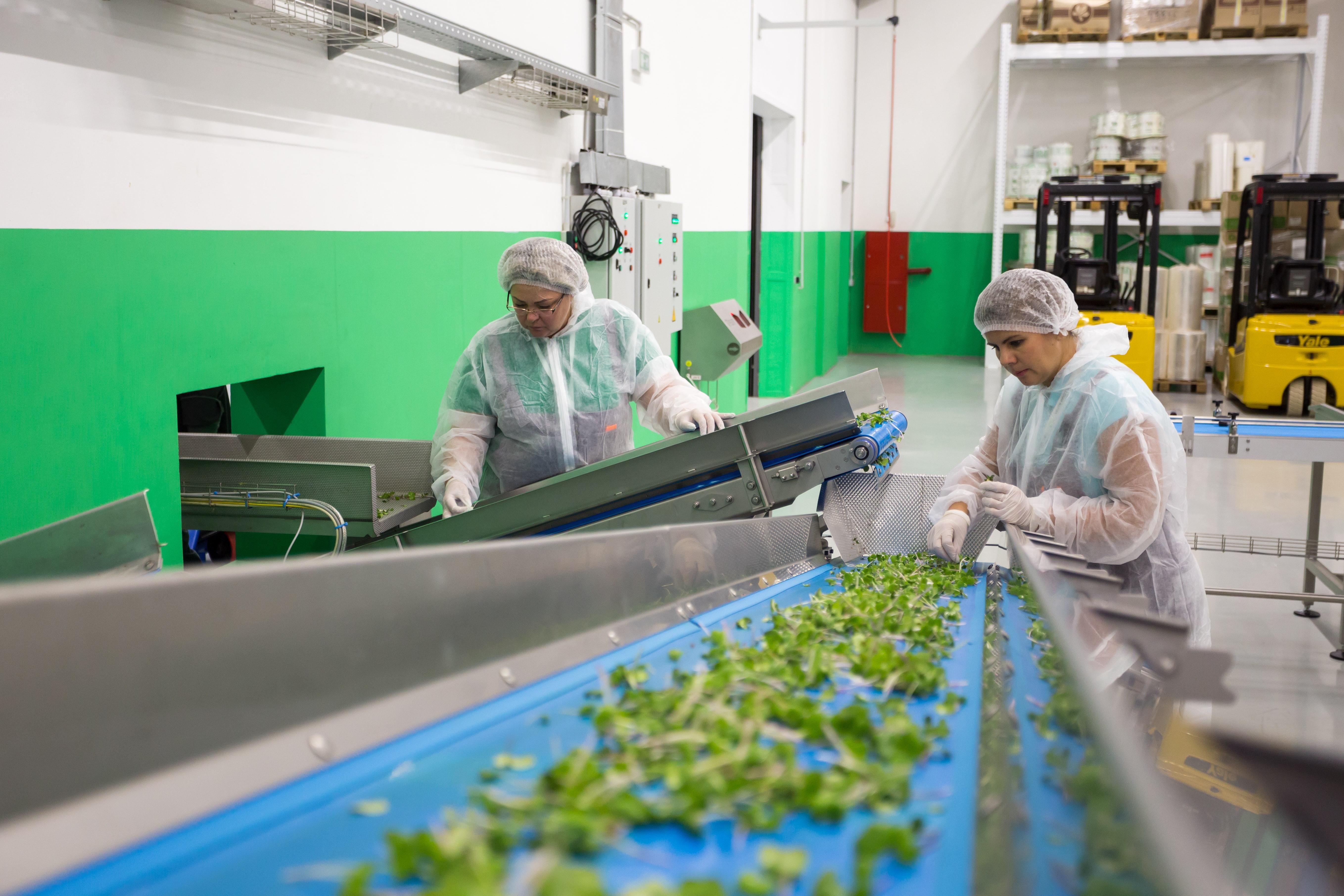 Украинцам не заплатили за работу в Польше