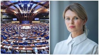 "Боятся быть русофобами": украинские вопросы не попали в повестку дня ПАСЕ