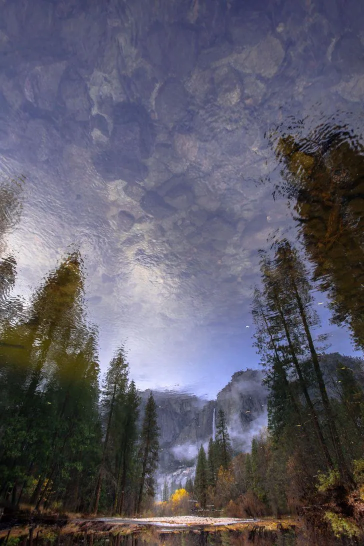 Отражение в воде похоже на картину