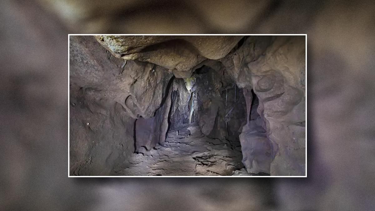 На Гібралтарі знайшли печеру неандертальців: остання людина побувала тут 40 тисяч років тому - Новини технологій - Техно