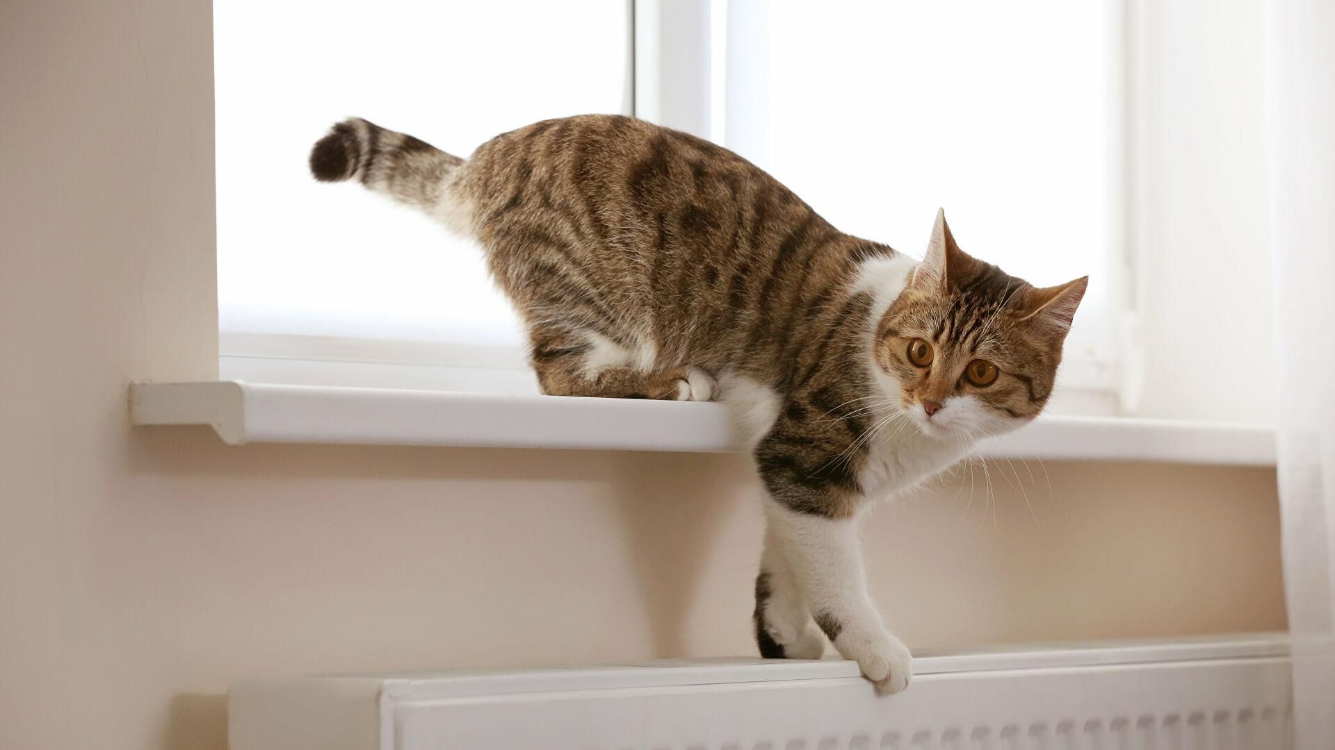 Не следует переживать, – Чернышов рассказал, изменятся ли тарифы на тепло в Украине Не следует переживать, – Чернышов рассказал, изменятся ли тарифы на тепло в Украине