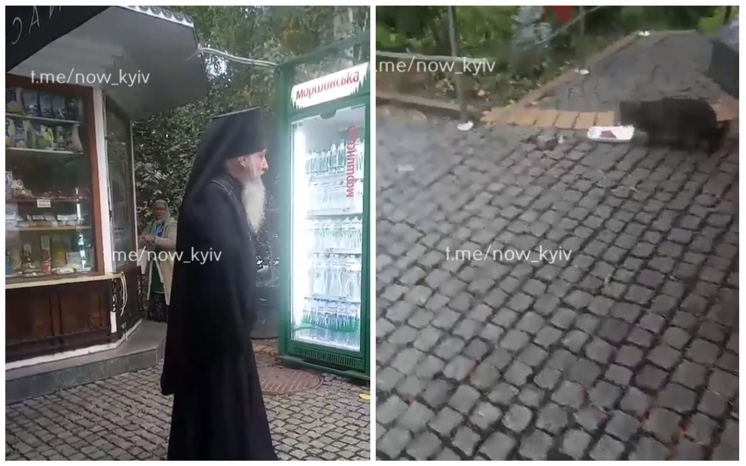 "Владыка не благословил": в Киеве священник запретил стерилизовать кошек с территории лавры