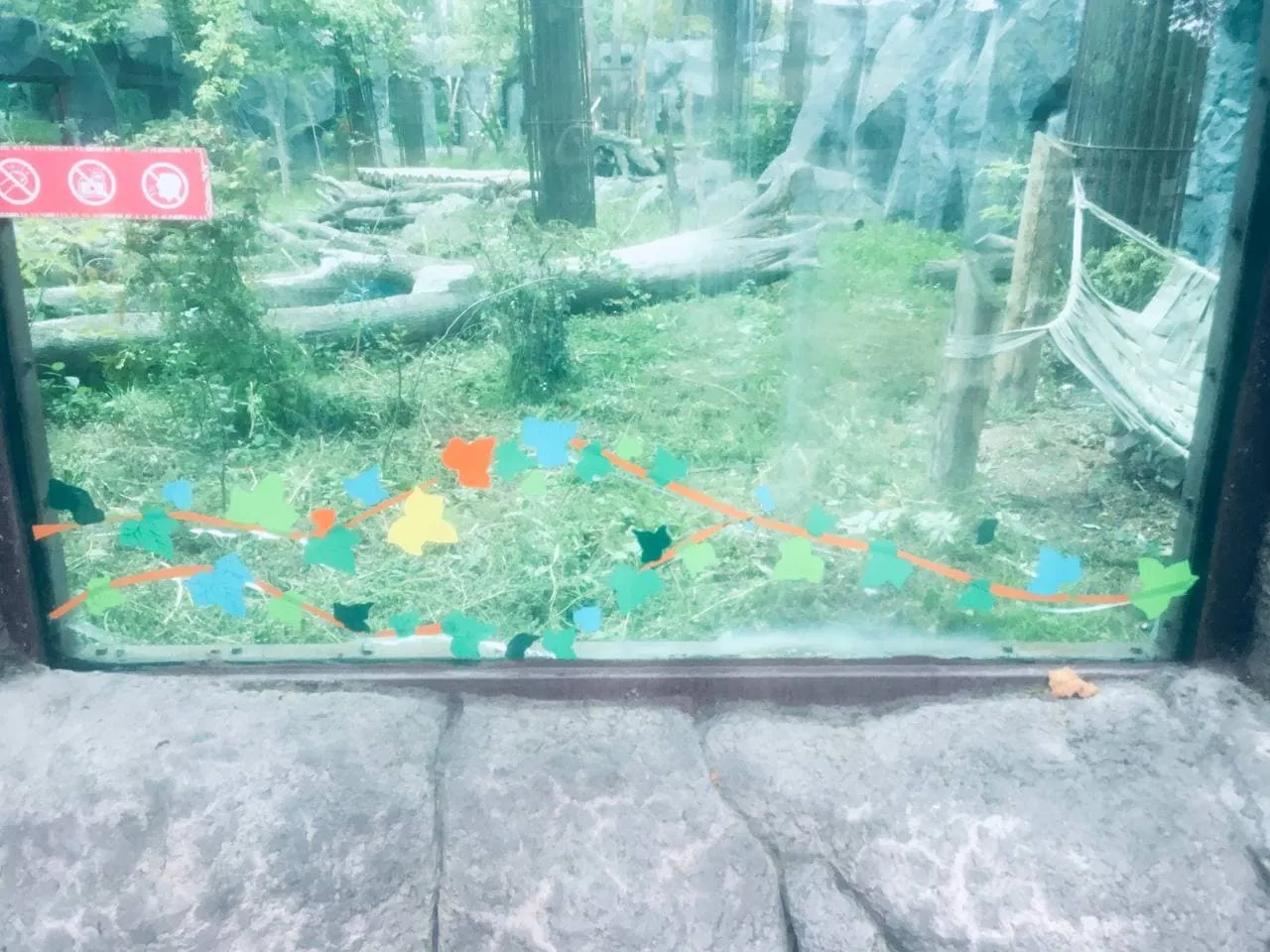 Зоопарк Київ Приховали тріщини Скло заліпили аплікаціями 28 вересня 2021