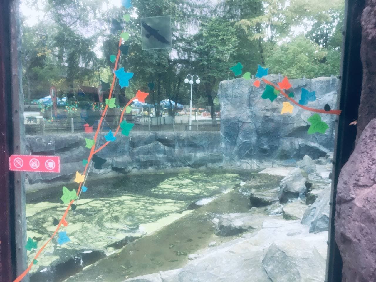 В киевском зоопарке треснувшее стекло в вольере заклеили аппликацией