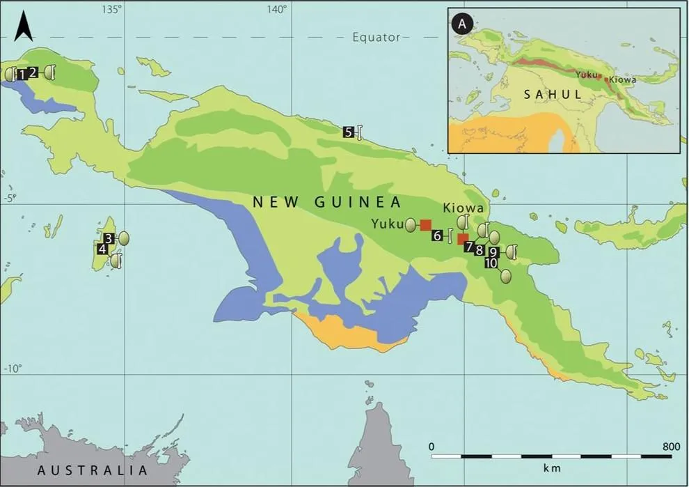 Нова Гвінея Нова Гвінея