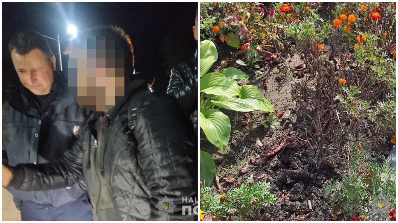 Вирвав з корінням і поставив назад: патрульні оштрафували вандала, який пошкодив чорнобривці - Свіжі новини Рівне - 24 Канал Вирвав з корінням і поставив назад: патрульні оштрафували вандала, який пошкодив чорнобривці - Свіжі новини Рівне - 24 Канал