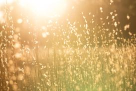 Сонце, заморозки та ймовірні дощі: прогноз погоди на 1 жовтня