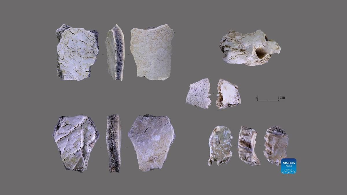 Китайські археологи знайшли людські рештки віком у 32 тисячі років - Новини технологій - Техно