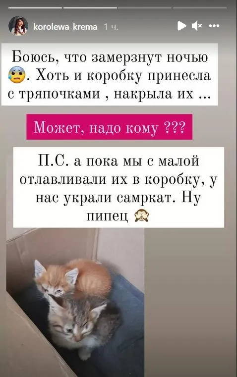 Пограбування Вкрали самокат Рятувала кошенят 30 вересня 2021 Пограбування Вкрали самокат Рятувала кошенят 30 вересня 2021