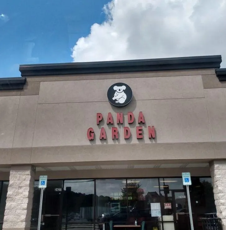 Трішки не та панда... Трішки не та панда...