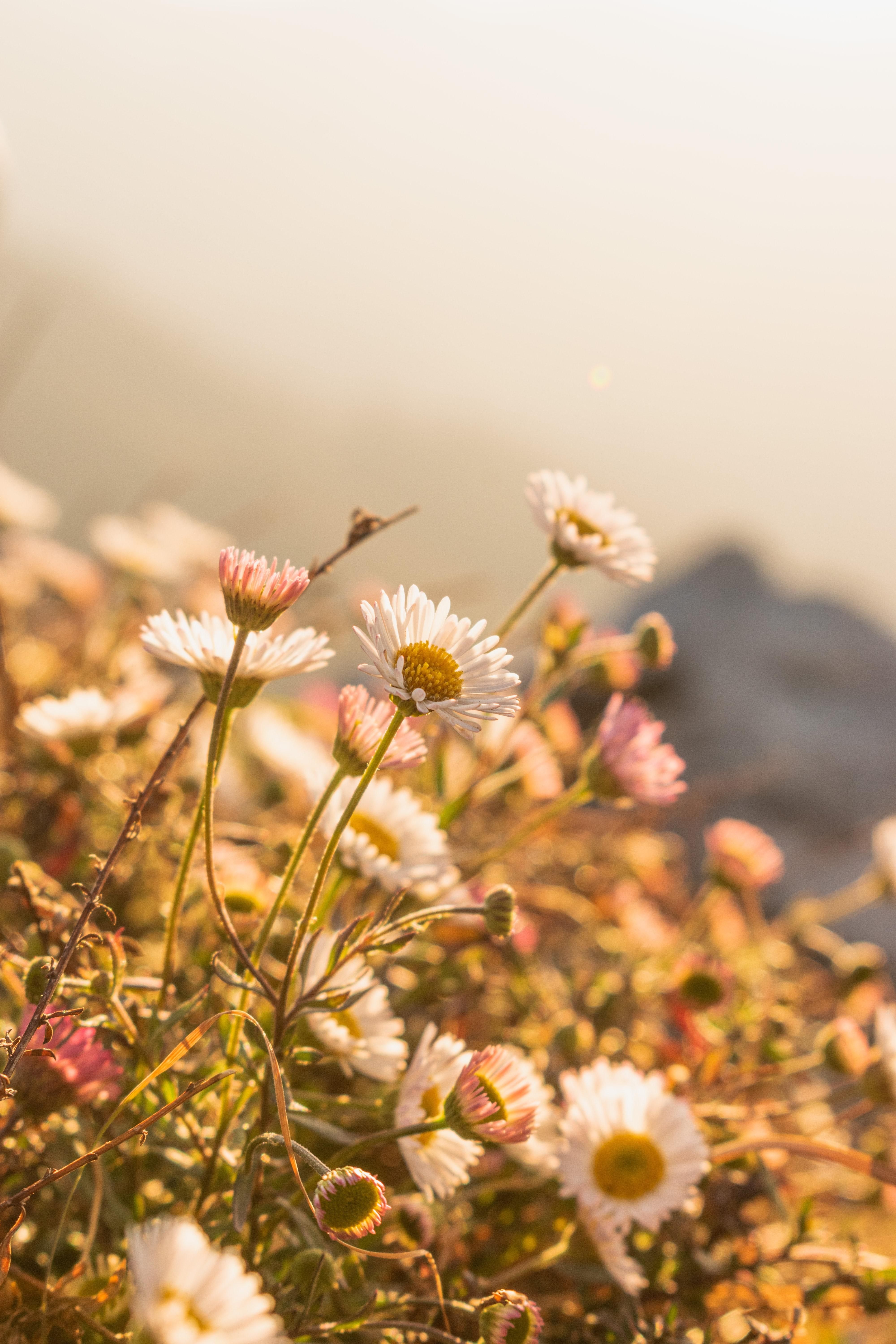 Погода в Україні на вихідних 2 – 3 жовтня 2021: прогноз синоптиків Погода в Україні на вихідних 2 – 3 жовтня 2021: прогноз синоптиків