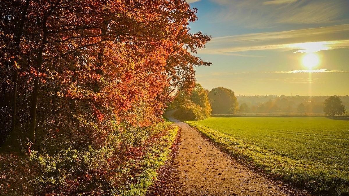 Погода на 2 жовтня 2021 в Україні: що прогнозують синоптики Погода на 2 жовтня 2021 в Україні: що прогнозують синоптики