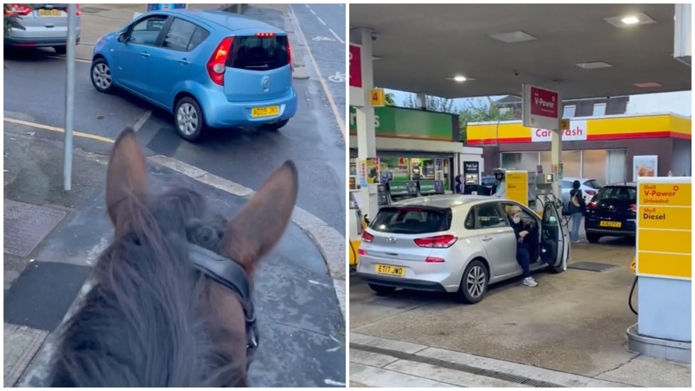 У Великій Британії вершник на коні тролить водіїв у заторі біля заправки: кумедне відео - 24 Канал У Великій Британії вершник на коні тролить водіїв у заторі біля заправки: кумедне відео - 24 Канал