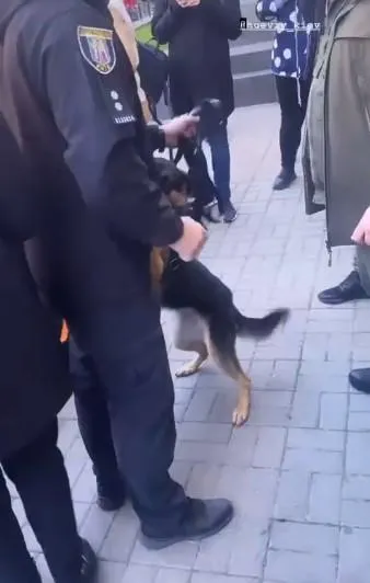 НПУ Драгоманова в Києві нібито замінували, приїхала поліція із собаками