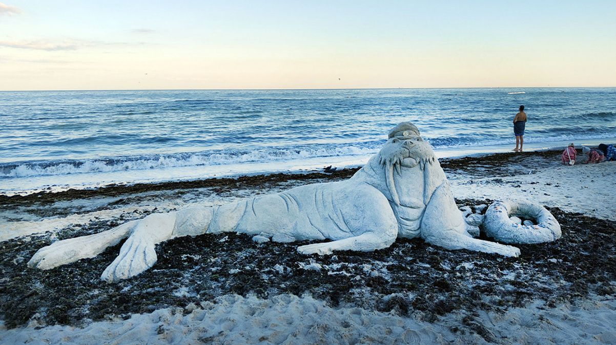 На одеському пляжі "поселився" гігантський морж із піску: фото процесу створення - Україна новини - 24 Канал На одеському пляжі "поселився" гігантський морж із піску: фото процесу створення - Україна новини - 24 Канал