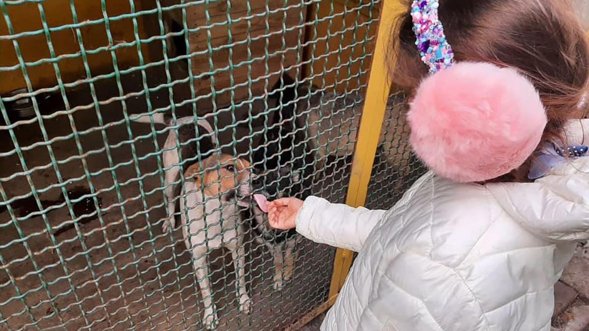 Невероятный поступок 10-летней девочки из Днепра: ради животных отказалась от Дня рождения 