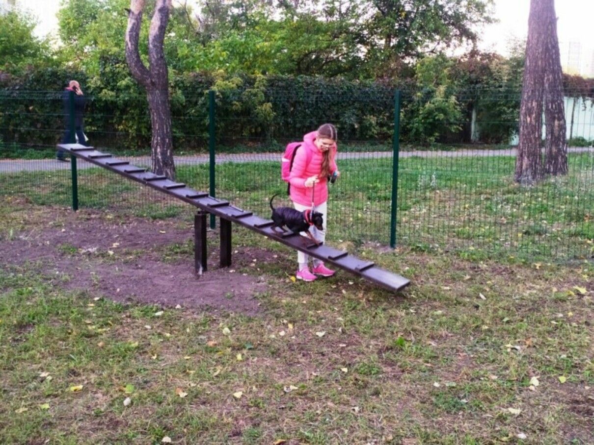 Майданчики для вигулу тварин у Києві: куди зводити улюбленця