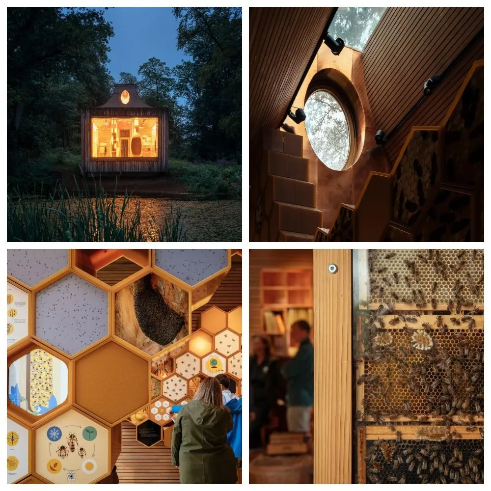 Бджолиний дім Бджолиний дім