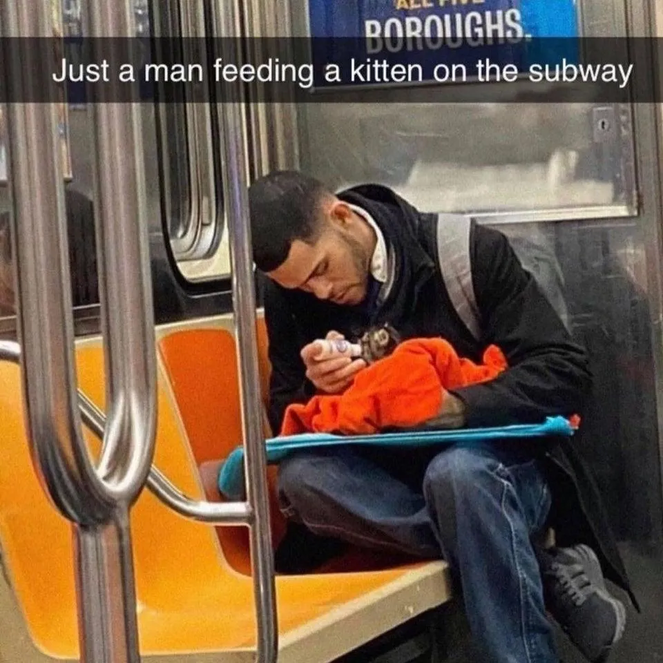 Как мило: парень кормит из бутылочки маленький котенок Как мило: парень кормит из бутылочки маленький котенок