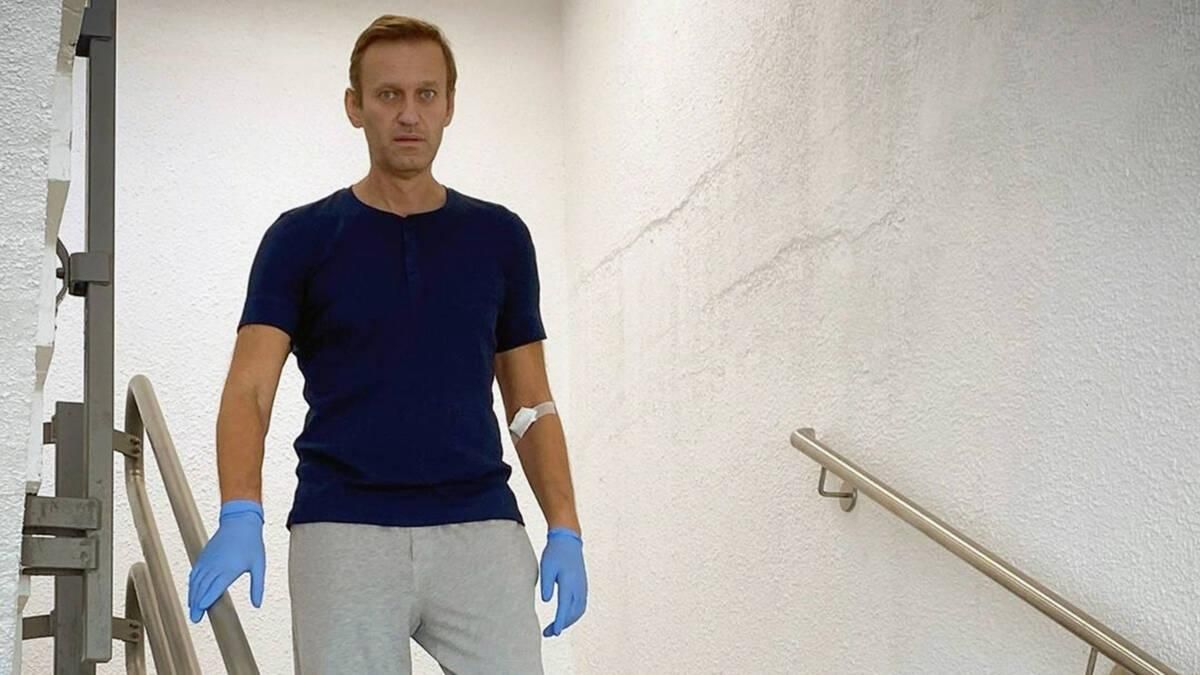Об отравлении Навального не забыли: вопросы к России прислали 45 стран - Новости России - 24 Канал