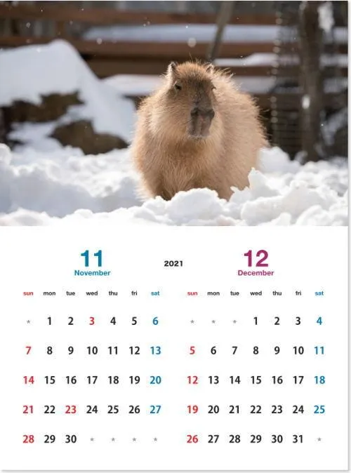 Календар з капібарою