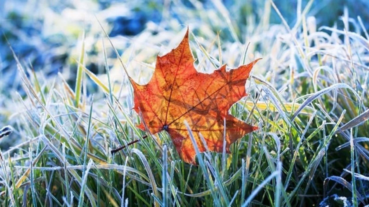 Синоптики попередили про перші заморозки: прогноз погоди на Львівщині на 7 – 11 жовтня - Львів Синоптики попередили про перші заморозки: прогноз погоди на Львівщині на 7 – 11 жовтня - Львів