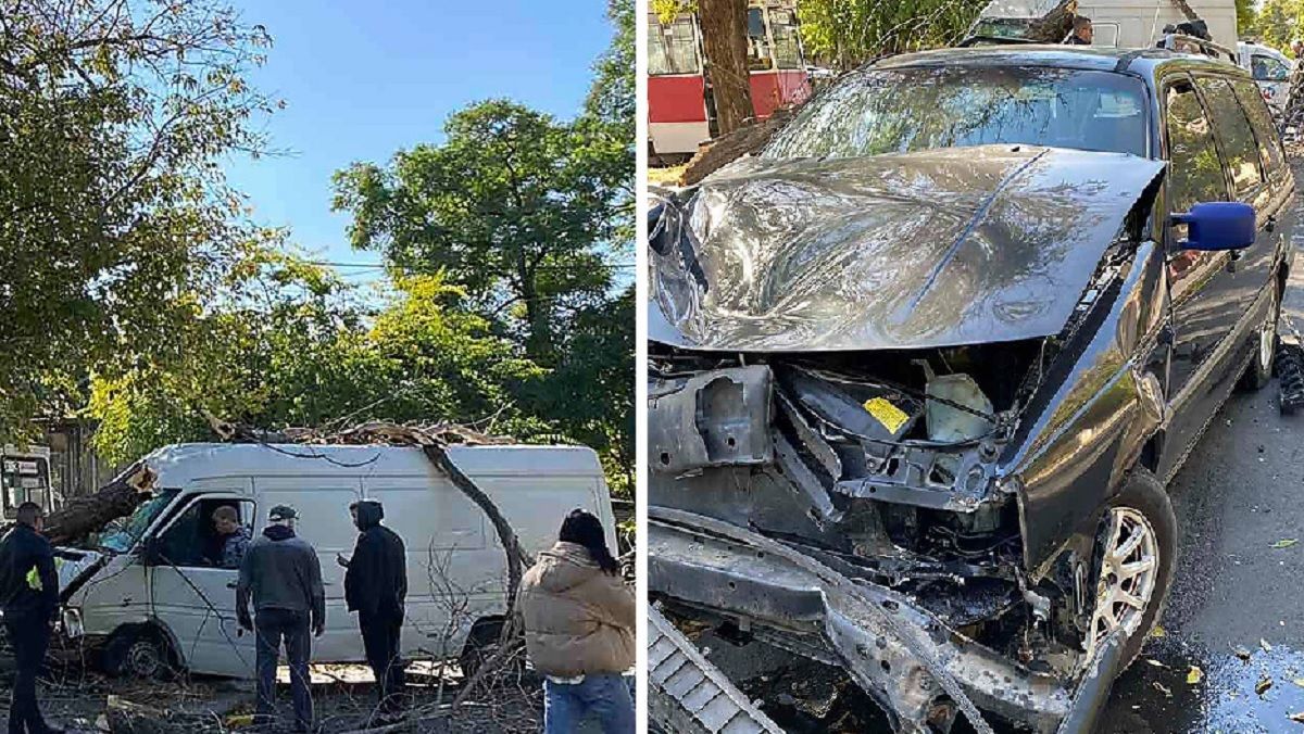 В Николаеве микроавтобус протаранил легковушку и врезался в дерево: пострадали люди В Николаеве микроавтобус протаранил легковушку и врезался в дерево: пострадали люди
