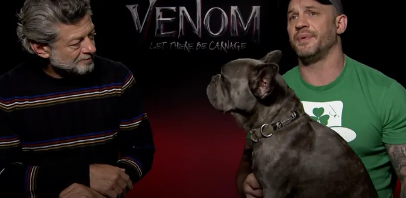 Том и его собака на интервью