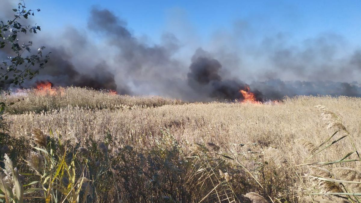 Пожежу у Балаклії гасили понад 7 годин: шукають палія - Свіжі новини Харкова - 24 Канал