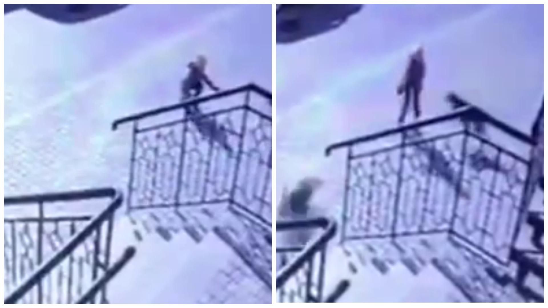 В Одессе стая собак набросилась на маленького мальчика: что с ребенком В Одессе стая собак набросилась на маленького мальчика: что с ребенком