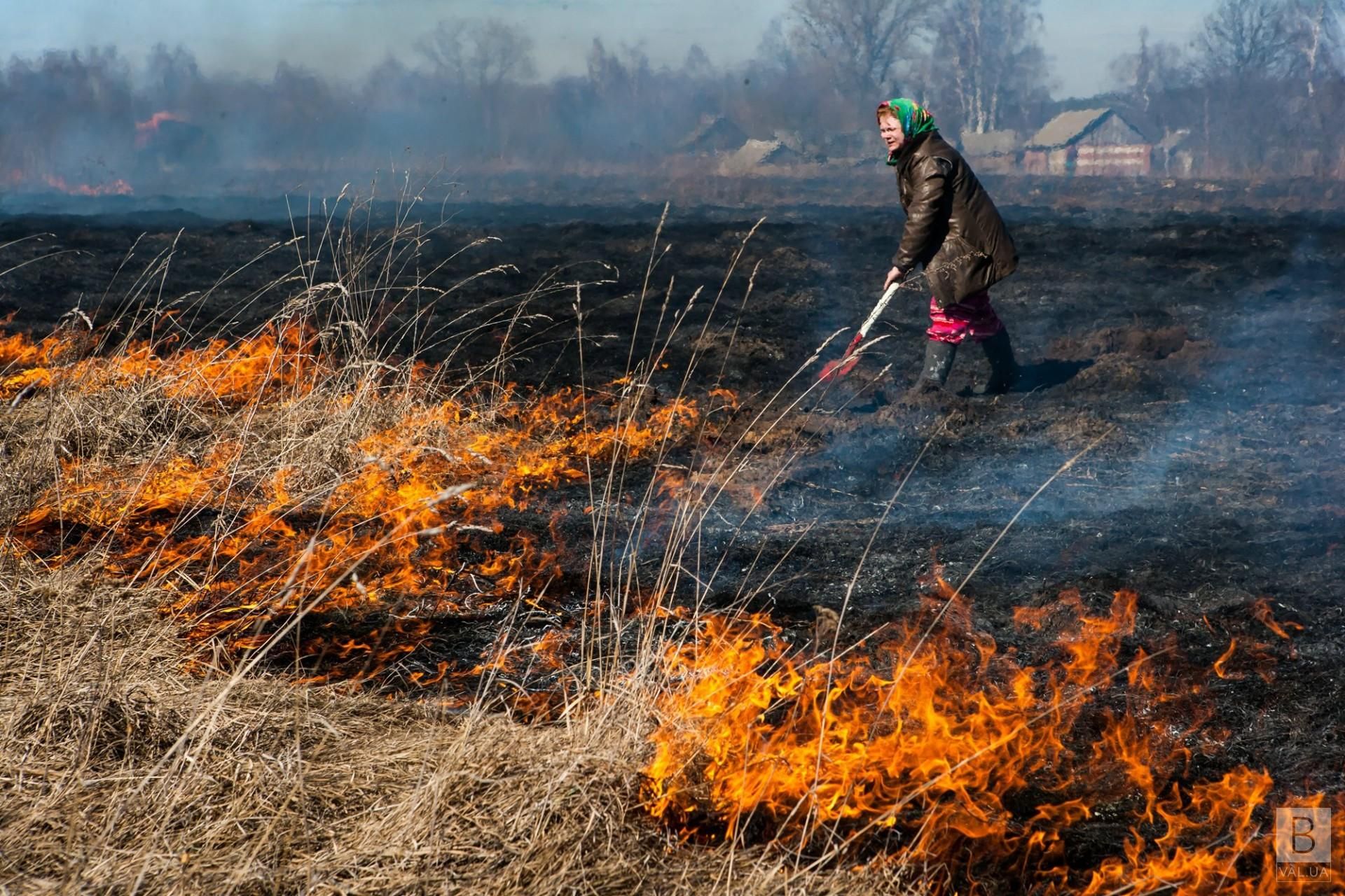 Не їхати автомобілем до лісу та не розводити вогнища: ДСНС попередили про пожежну небезпеку - 24 Канал