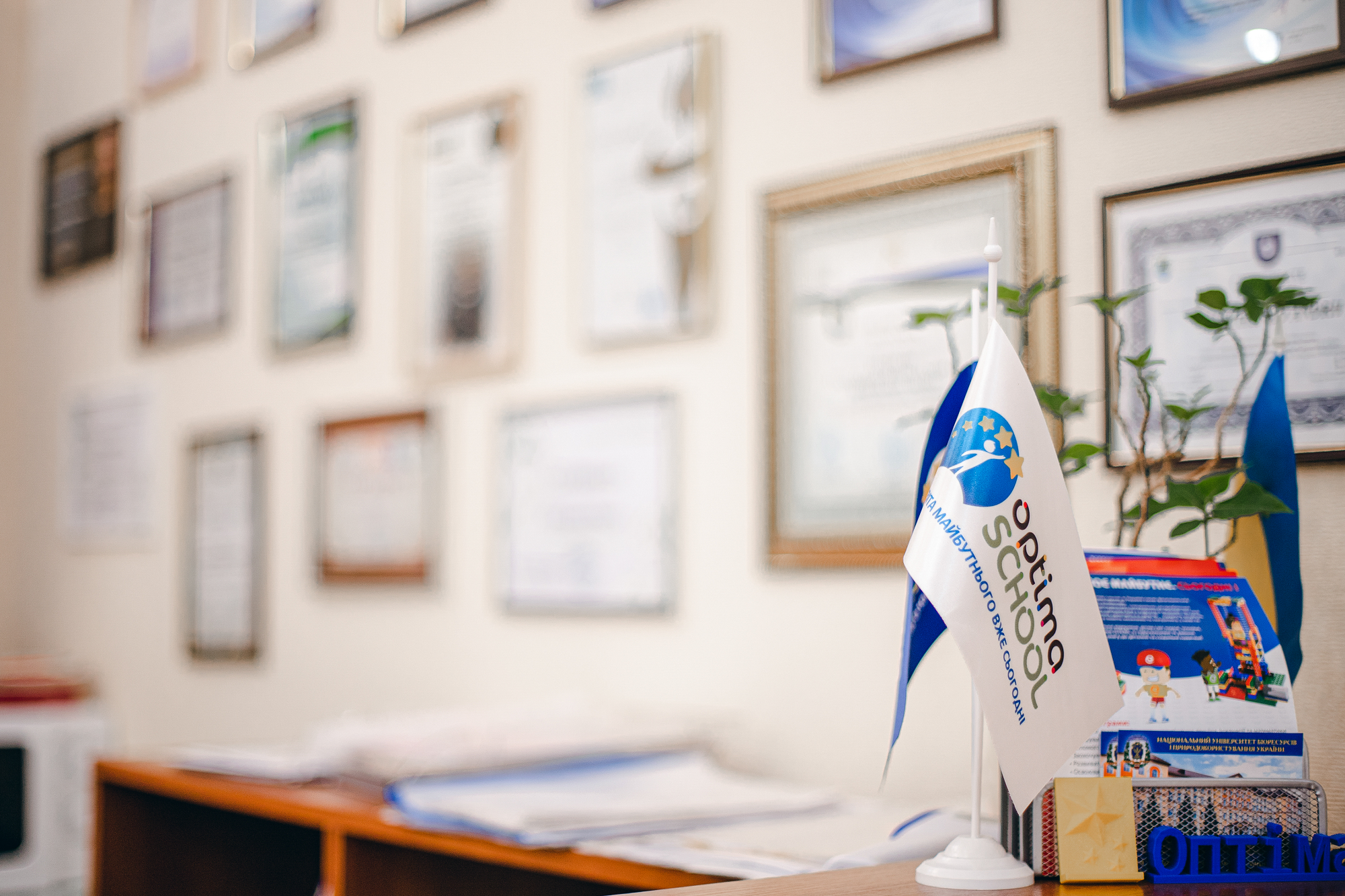 Погані оцінки: як дистанційна школа "Оптіма" покращує успішність - Україна новини - 24 Канал Погані оцінки: як дистанційна школа "Оптіма" покращує успішність - Україна новини - 24 Канал