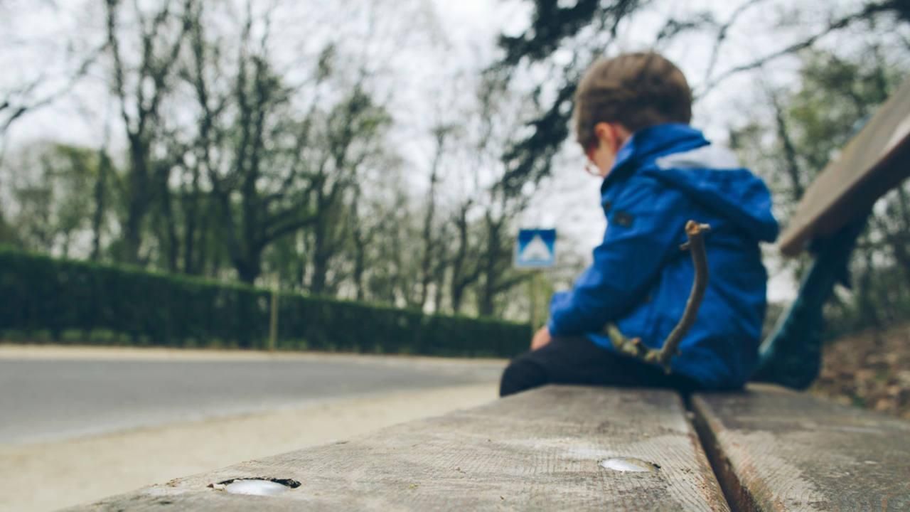 У приватному садочку на Київщині під час прогулянки загубили 2-річного хлопчика - Свіжі новини Києва - Освіта