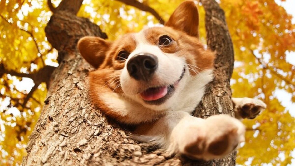 Погода на 10 жовтня 2021 в Україні: що прогнозують синоптики Погода на 10 жовтня 2021 в Україні: що прогнозують синоптики