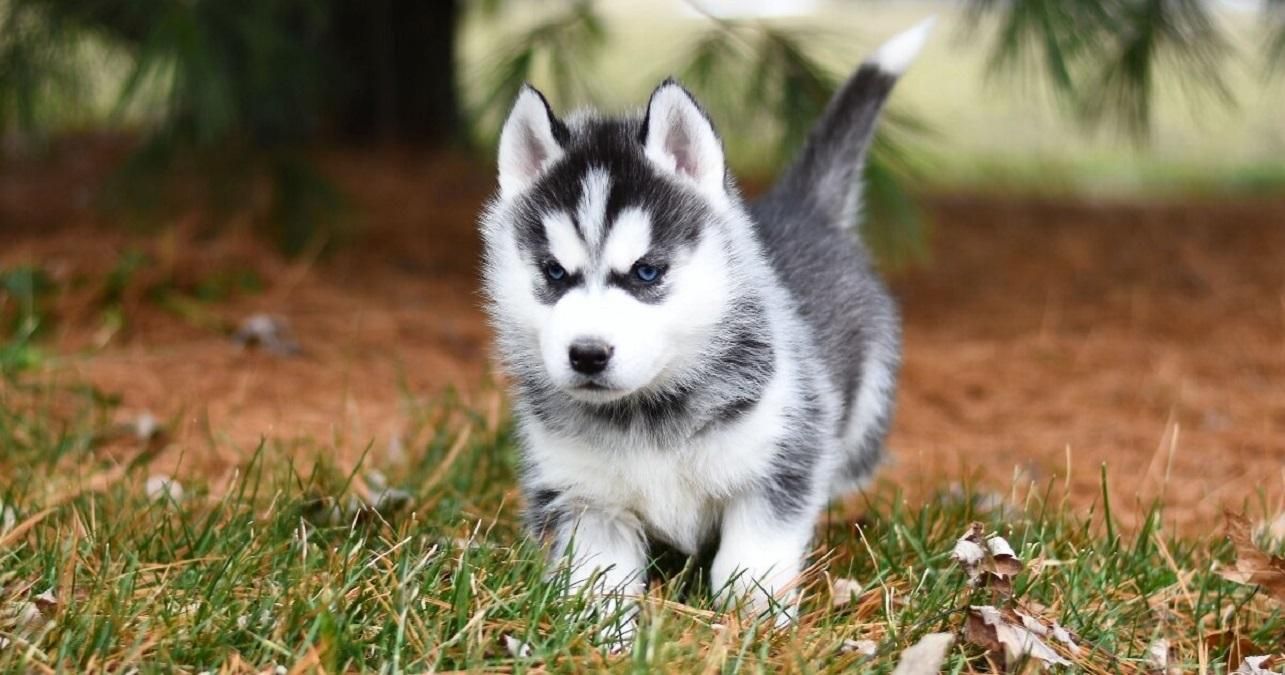 Погода на 11 жовтня 2021 в Україні: що прогнозують синоптики Погода на 11 жовтня 2021 в Україні: що прогнозують синоптики